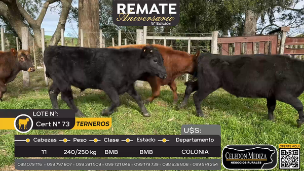 Lote 11 Terneros en Camino Reducto a 3 km de ruta 21, Colonia