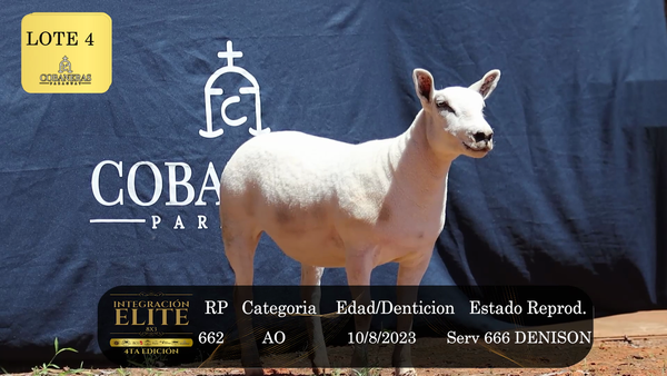 Lote LOTE 4