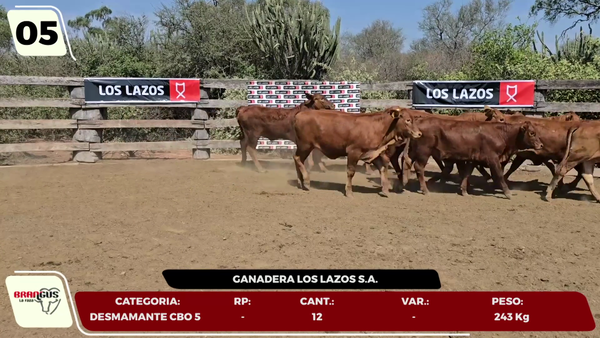 Lote LOTE 5- EN VIVO