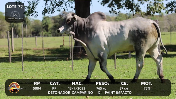 Lote LOTE 72