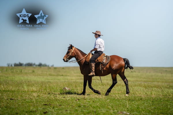 Lote PERLA LOS CERROS