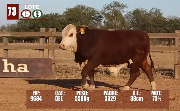 Lote Lote 73