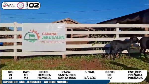 Lote LOTE 2
