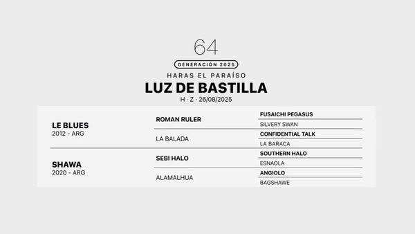 Lote LUZ DE BASTILLA