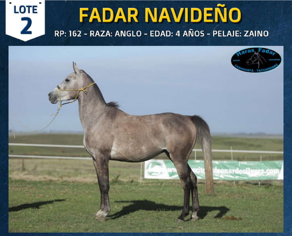 Lote FADAR NAVIDEÑO