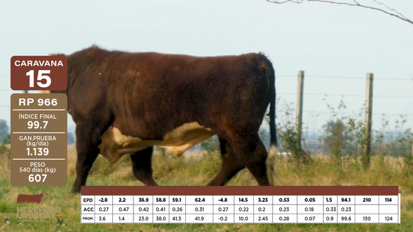 Lote Caravana 15 "Humberto J. Orcasberro"