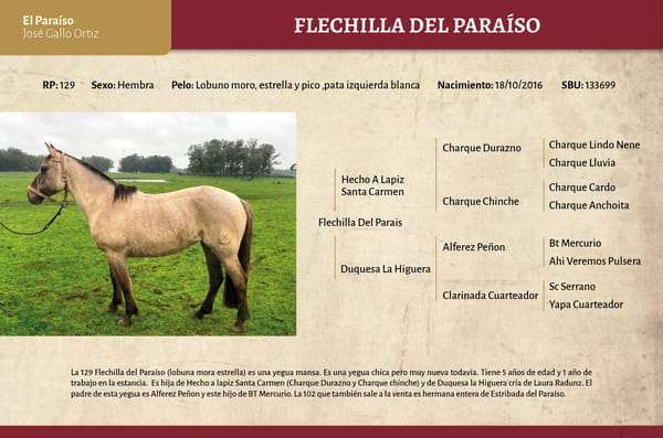 Lote Flechilla del Paraíso (RP 129) - Cabaña El Paraíso