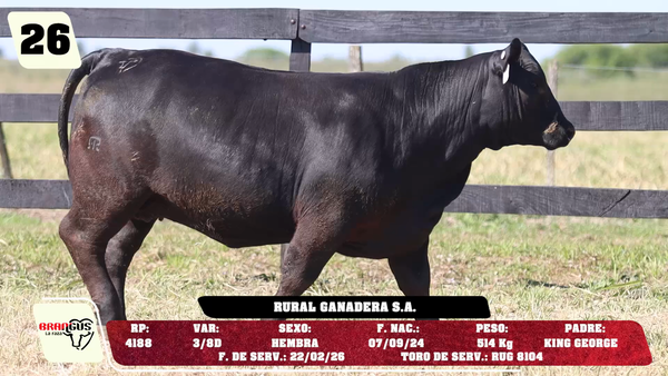 Lote LOTE 26 - DE CAMPO