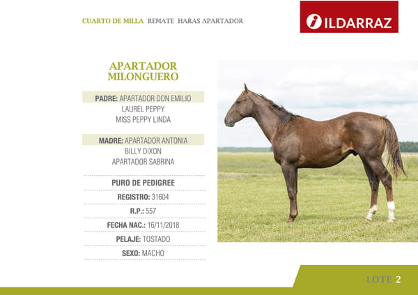 Lote APARTADOR MILONGUERO