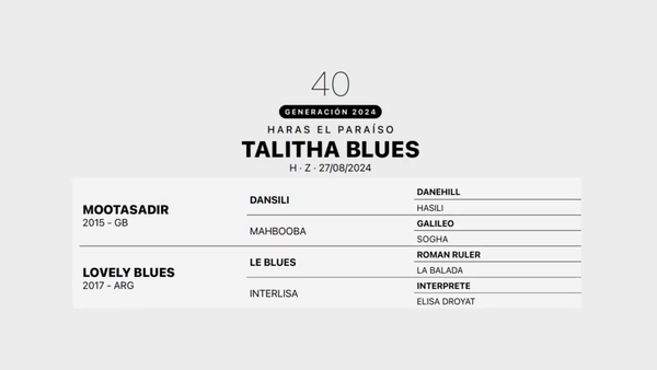 Lote TALITHA BLUES