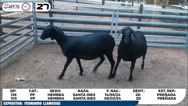 Lote LOTE 27