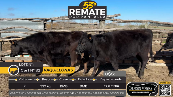 Lote 7 Vaquillonas  en Manantiales, Colonia