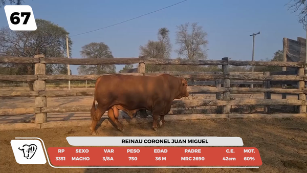 Lote LOTE 67-DE CAMPO