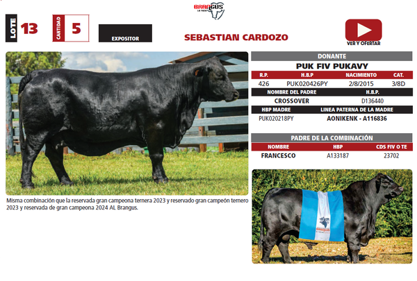 Lote LOTE 13