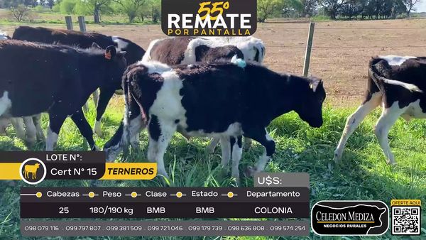 Lote 25 Terneros en San Pedro, Colonia