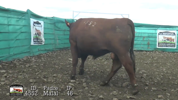 Lote Lote 3