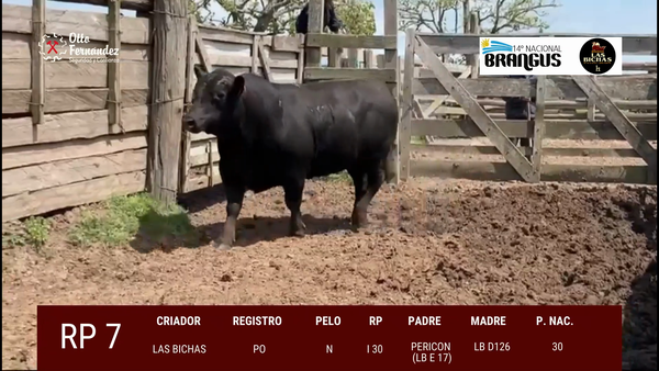 Lote Toros, Tacuarembó