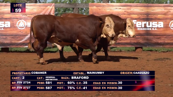 Lote COBANER SA  LOTE 59