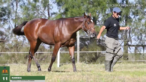 Lote Namibia