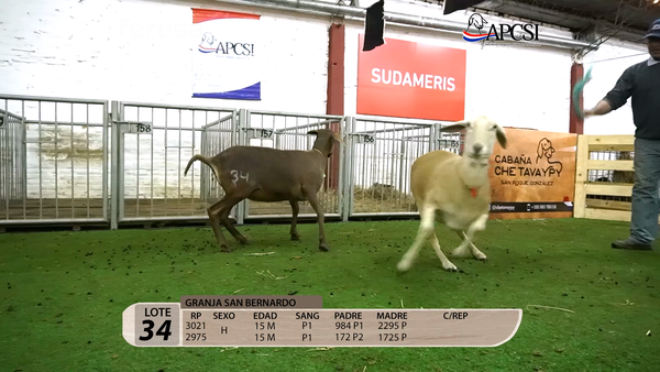 Lote Nacional Santa Inés Campo - Lote 34