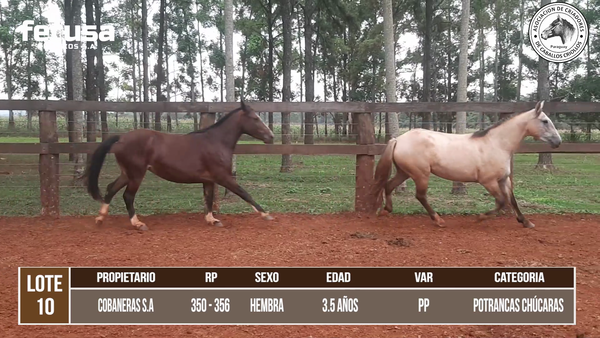 Lote LOTE 10 DE CAMPO