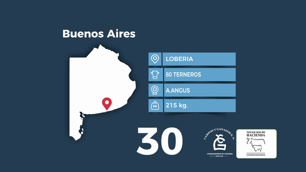 Lote 80 Terneros en Buenos Aires, Loberia