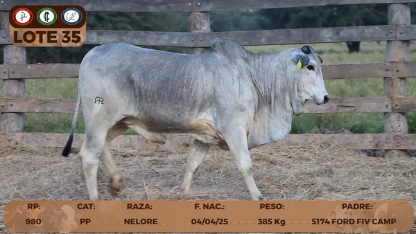 Lote LOTE 35