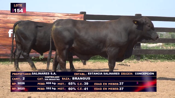 Lote SALINARES SA - LOTE  154