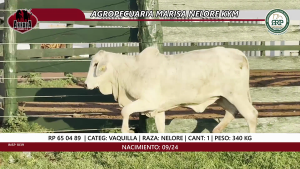 Lote VAQUILLA