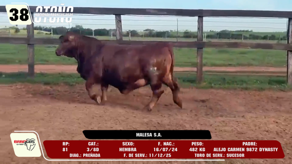 Lote LOTE 38 -DE CAMPO