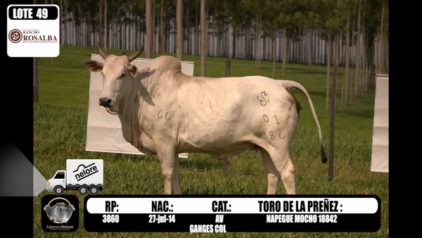 Lote LOTE 49 PREÑEZ RP RANCHO ROSALBA 3860