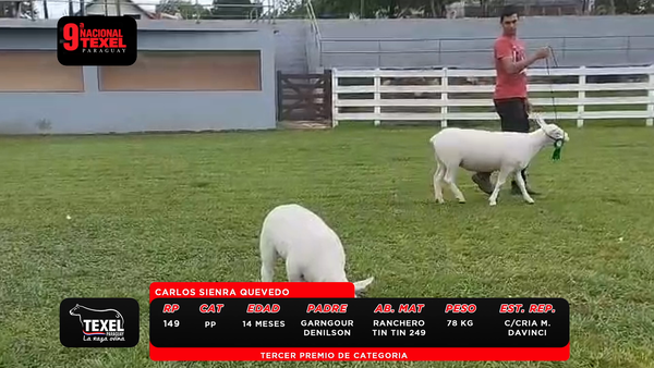 Lote LOTE 4
