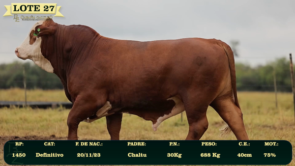 Lote LOTE 27