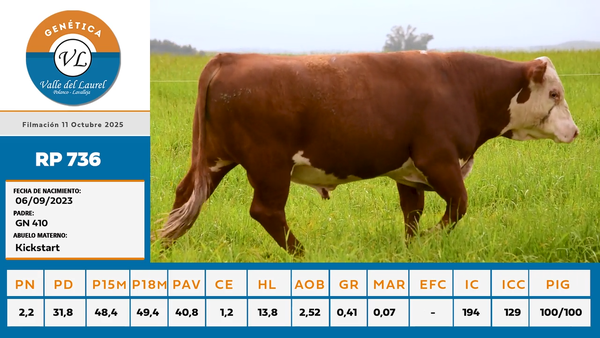Lote 5 - Valle del Laurel