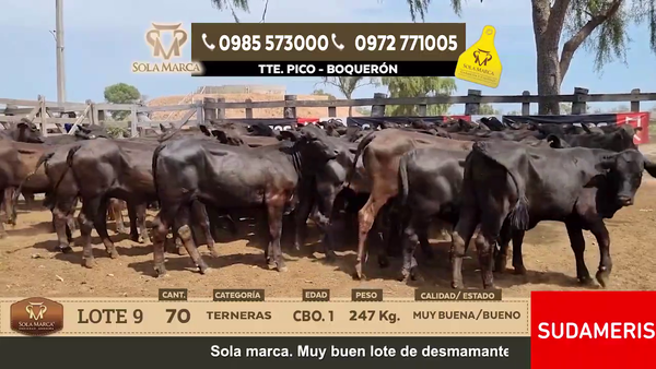 Lote Lote 9