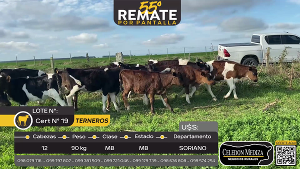 Lote 12 Terneros A 6 km de Egaña, Soriano