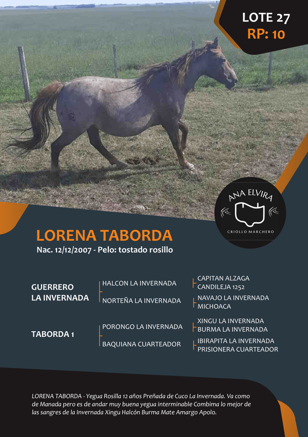 Lote RP 10 - LORENA TABORDA
