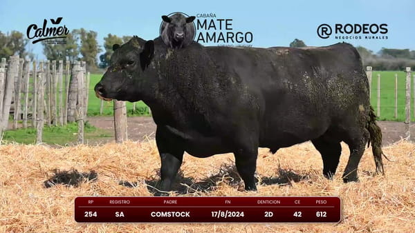Lote RP 254 SA