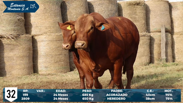 Lote LOTE 32
