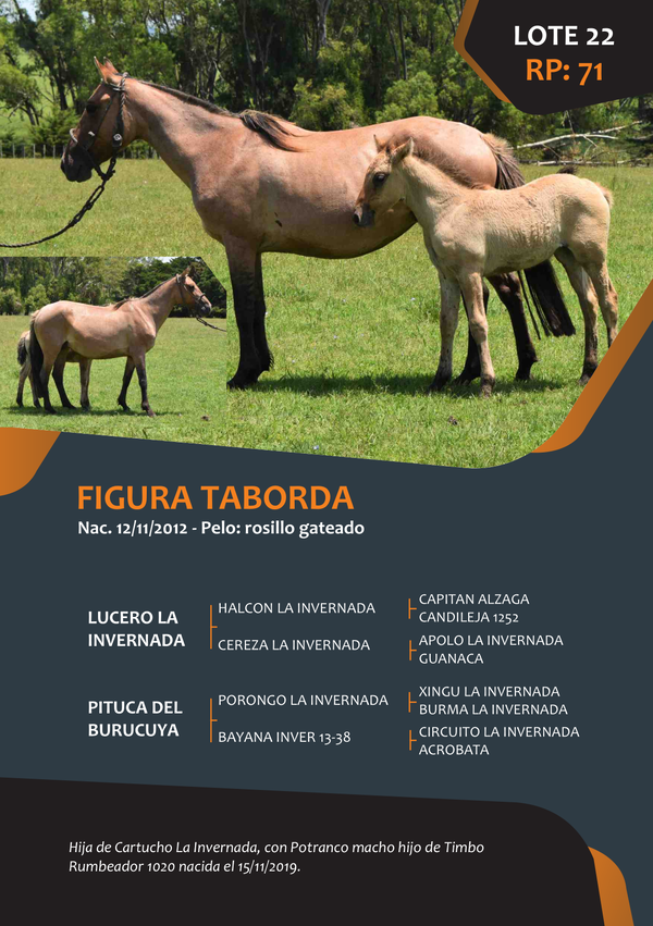 Lote RP 71 - FIGURA TABORDA