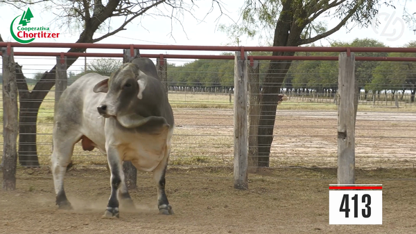 Lote Brahman