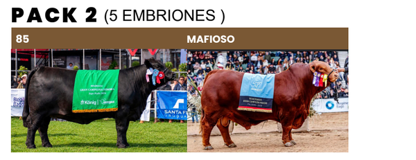 Lote PACK 2 (5 EMBRIONES)