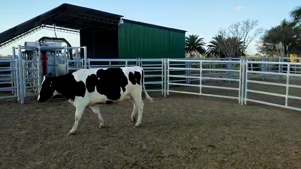 Lote Beltramino Raul