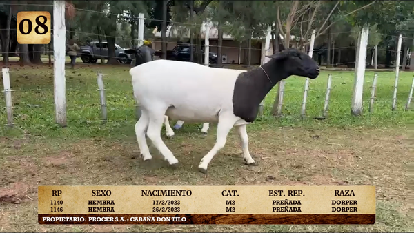 Lote LOTE 8