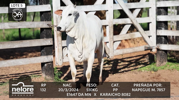 Lote LOTE 5