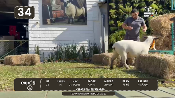 Lote LOTE 34 - BOZAL
