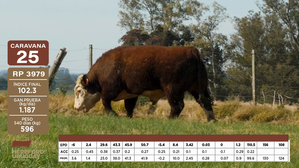 Lote Caravana 25 "SANTA CLOTILDE ASOC. AGRARIA DE RESP. LTDA"