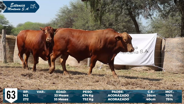 Lote LOTE 63