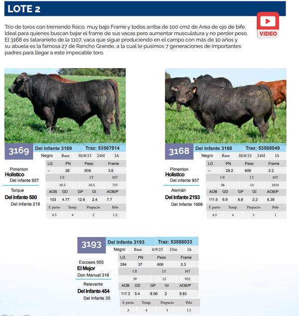 Lote Lote 2