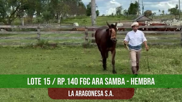 Lote FGC ARA SAMBA